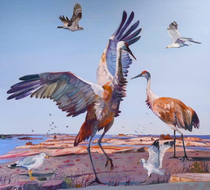 Sandhill Cranes on Tar Island, 2021