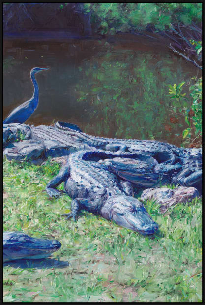 Everglades, 2021