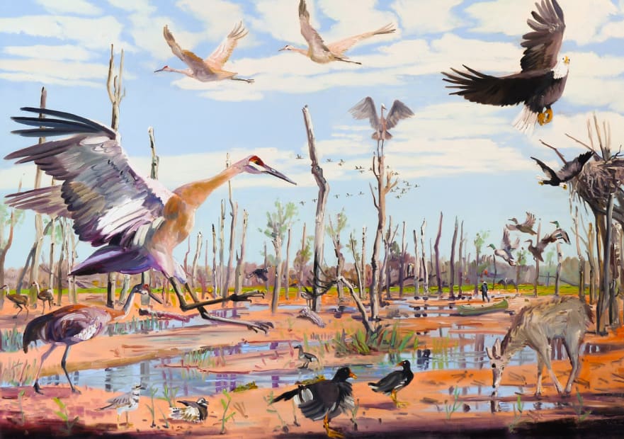 Sandhill Cranes in the Minesing Wetlands, 2021