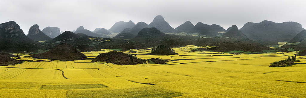 Canola Fields #2, Luoping, Yunnan Province, China, 2011