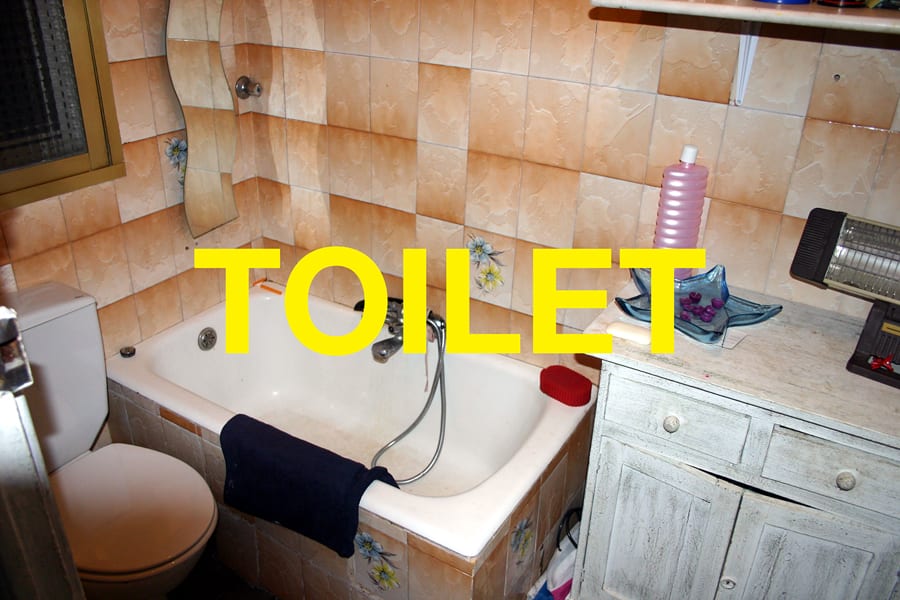 Words: Toilet, 2004
