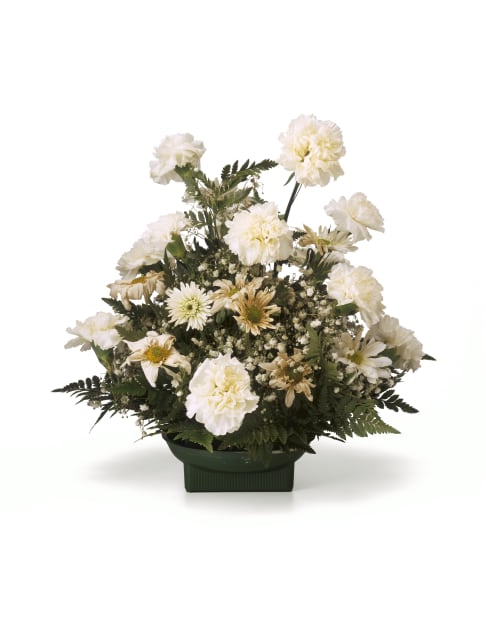 Quarantine: White Carnations, 2000, 2011