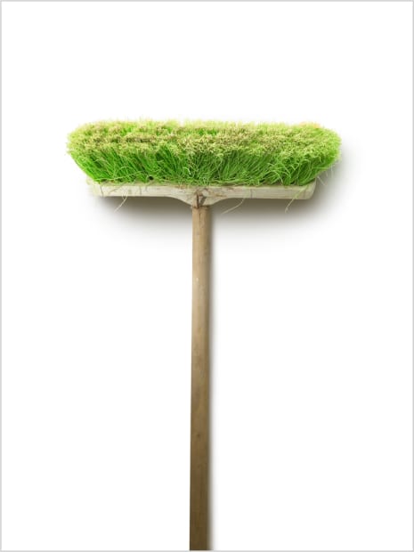 Brooms: Green Pushbroom, 2007