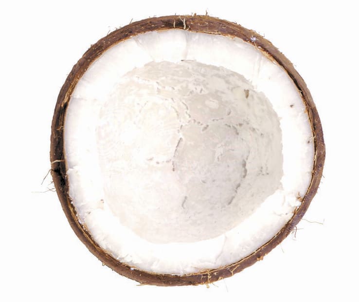 Coconut: White Coconut, 1997