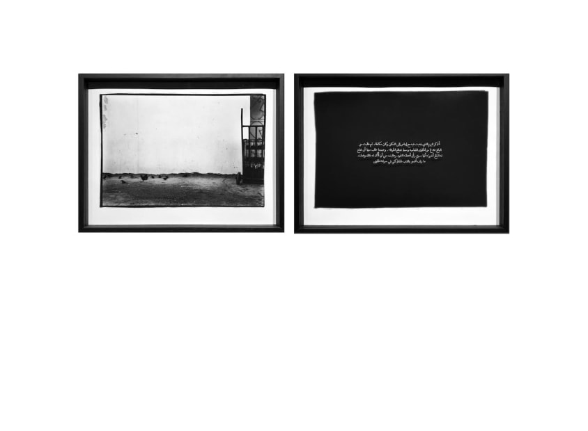 Sequence No. I (2 photograms), 2019