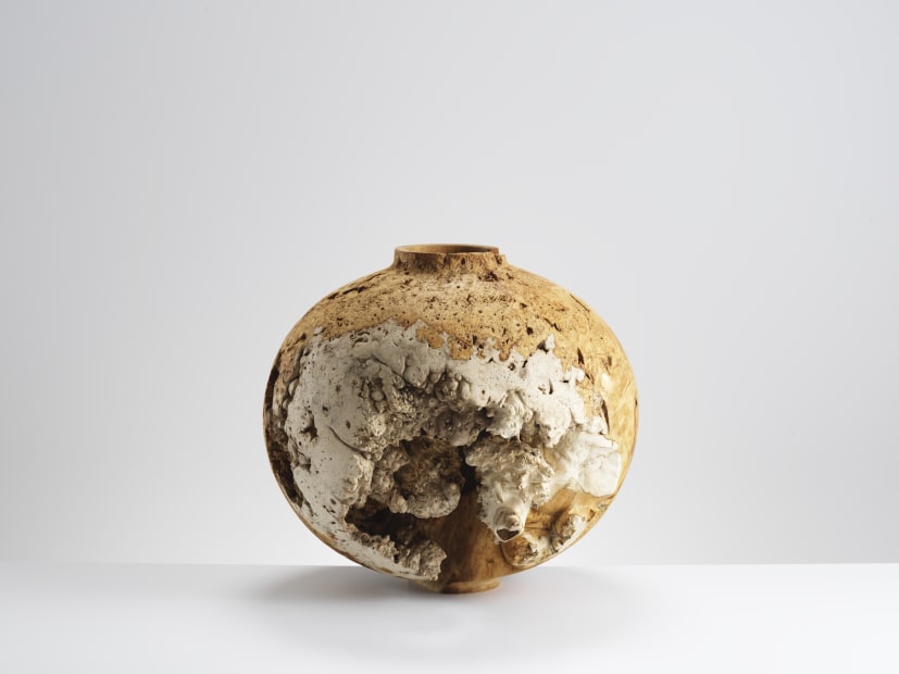Eleanor Lakelin, Echoes of Amphora: Anobium Jar, 2020