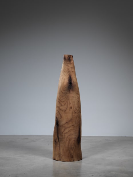 Ernst Gamperl, 61/2019/100 (Left in image), 2019
