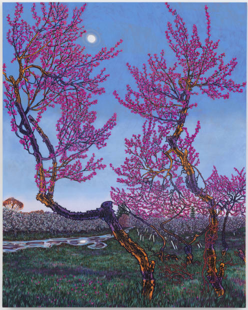 Plum Blossoms, Stone Ridge Orchard, 2021