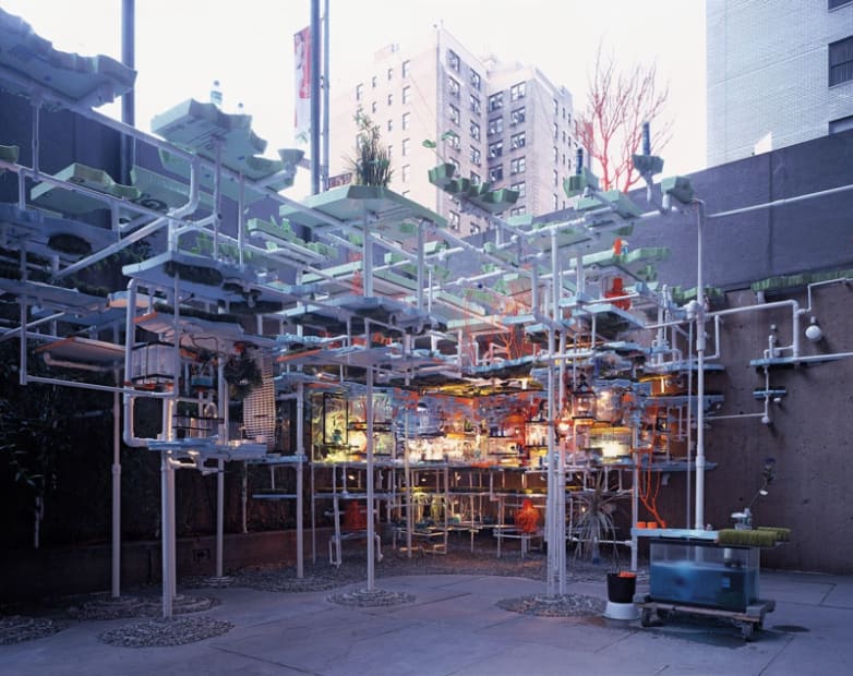 The Triple Point of Water, Whitney Museum of American Art, 2003