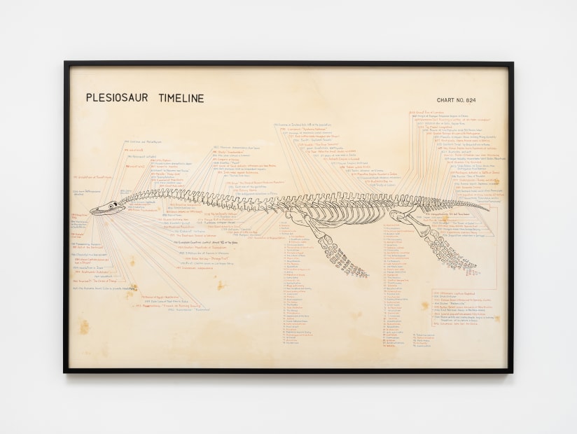 Plesiosaur Timeline, 2020