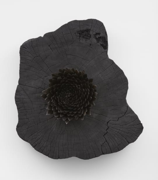 Hrafntinnublómstur (Obsidian bloom) 1, 2021