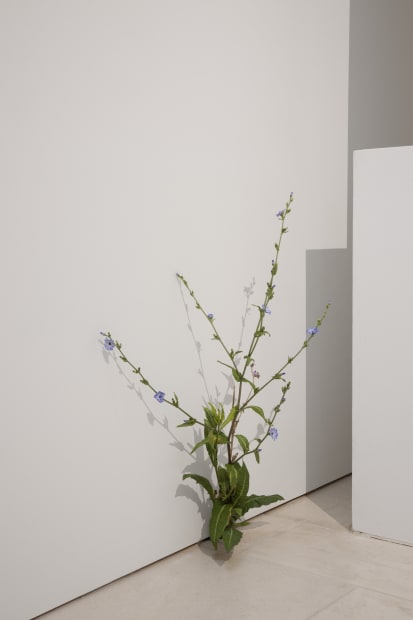 Tony Matelli Installation view "Hyper sensible", Musée d'Arts de Nantes, Nantes, France, 2023