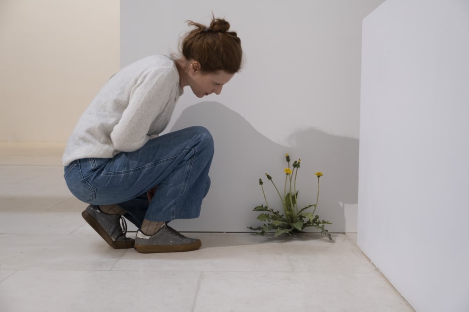 Tony Matelli Installation view "Hyper sensible", Musée d'Arts de Nantes, Nantes, France, 2023