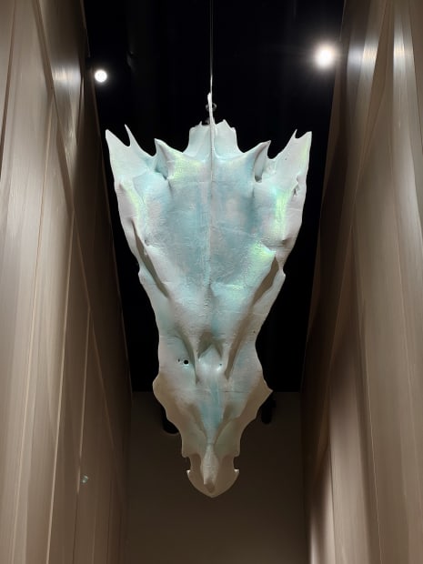 Installation view, Njord (2025), Nomoria opera house, Kristiansund, Norway.