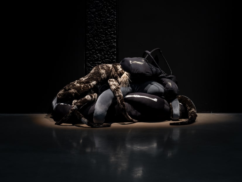 Cecilia Bengolea Installation view, Tension, Please!, Borås Konstmuseum, Borås, Sweden, 2025.