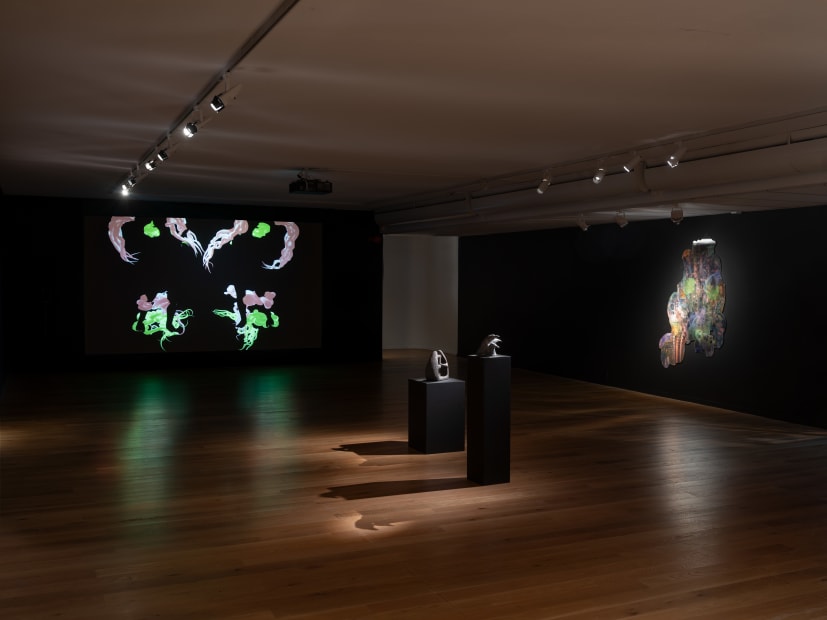 Cecilia Bengolea Installation view, Tension, Please!, Borås Konstmuseum, Borås, Sweden, 2025.