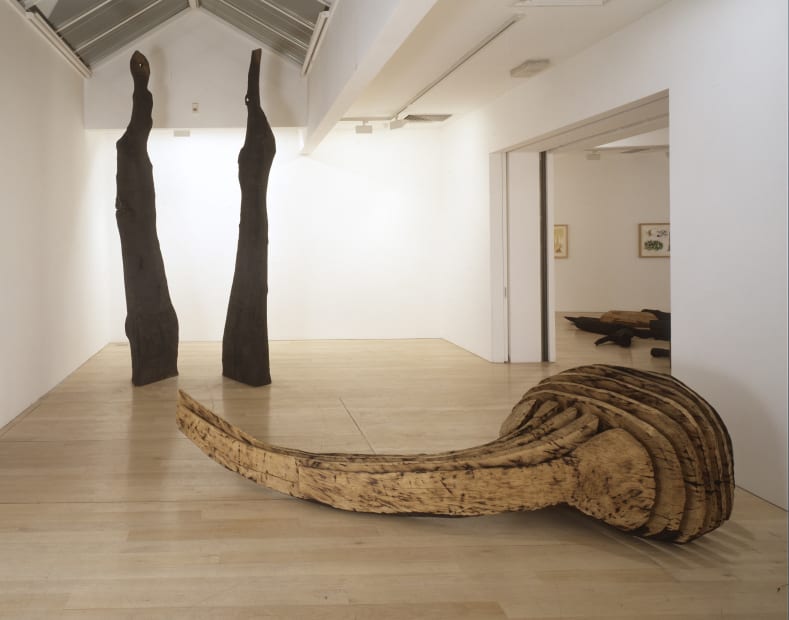 installation shot of David Nash's exhibition At the Edge of the Forest at Annely Juda Fine Art, London 1993