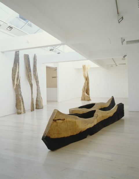 David Nash, recent Sculpture, Annely Juda Fine Art, London, 1996. description; an installation shot of a white gallery space with large carved wooden sculptures