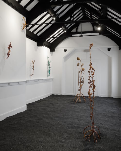 Echo Soho Berntson Bhattacharjee 001 Copy 2