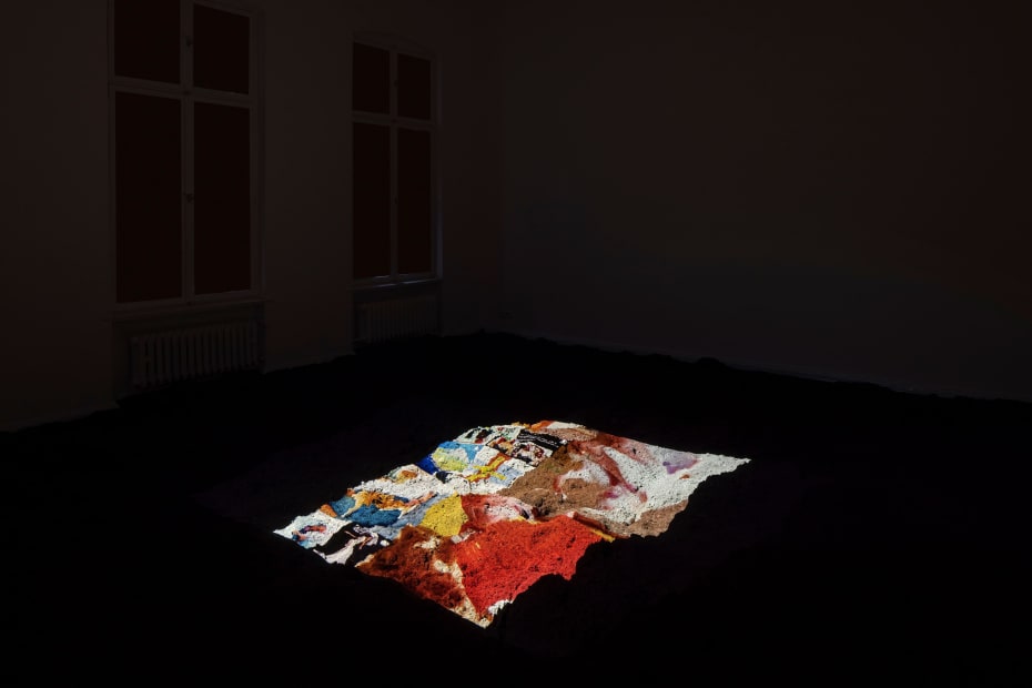 The Truth Lies in the Eye of Beholder, 2021, Isabella Fürnkäs, video installation, 10:38min, loop/colour, sound, text spoken by Ariel Gaba, edition of 2+1AP, photo by Timo Ohler, courtesy of the artist and Hua International