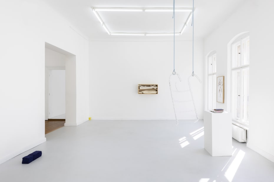 Installation View |Soft Machines, 2022, photo by Timo Ohler, courtesy of the artist and Hua International