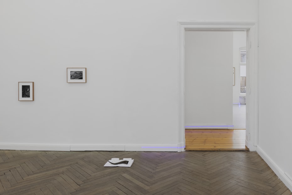 Installation View |Soft Machines, 2022, photo by Timo Ohler, courtesy of the artist and Hua International