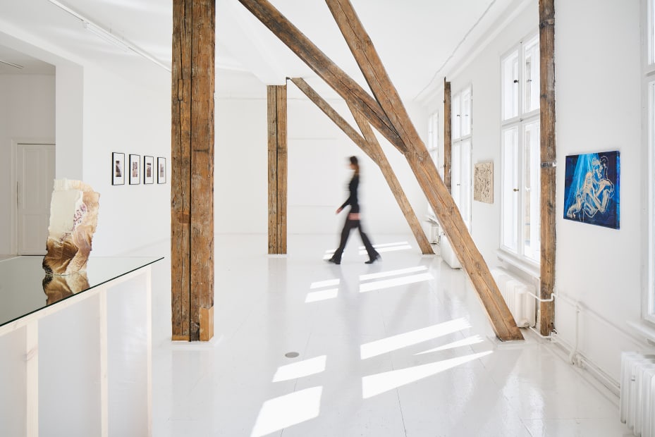 Installation view, 2024, Dizzying Effect at Hua International Berlin, photo by Joe Clark, courtesy of the artist and Hua International.