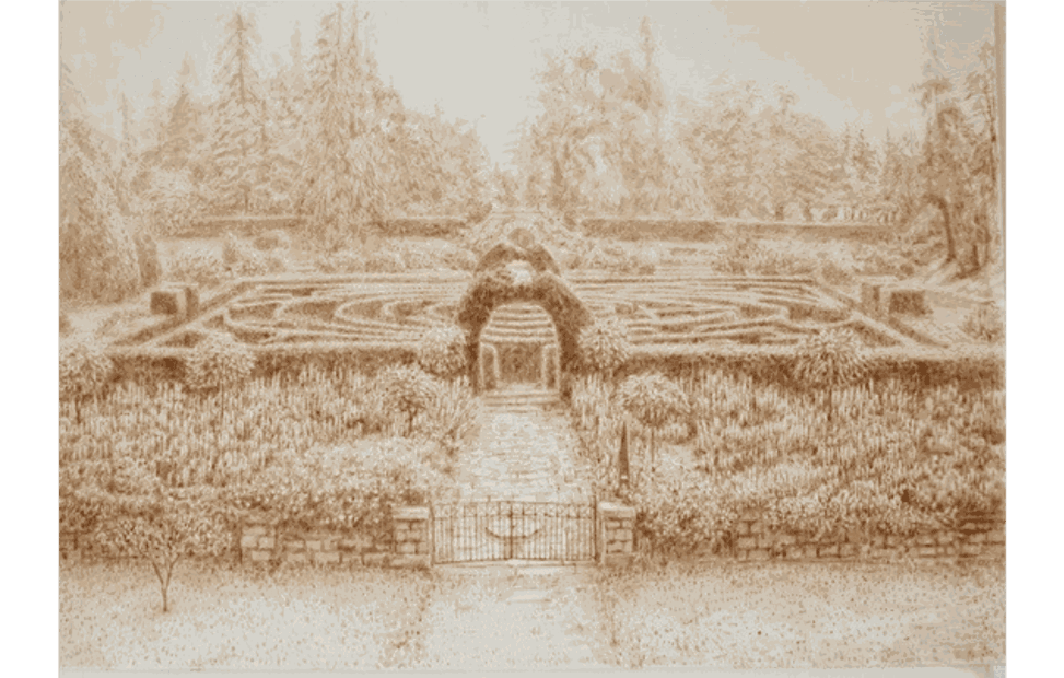 John Alexander Parks, Lupin Garden, Chatsworth, 2015