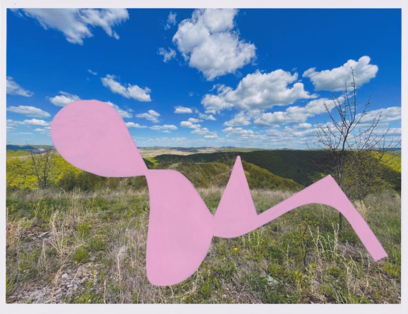Julie Langsam, Landscape Intervention: Boone County, WV: Pink Shape #127, 2022