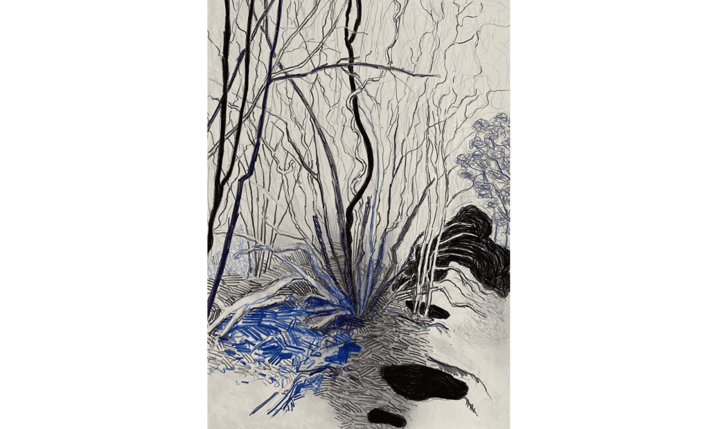 Per Adolfsen, Young Tree in Winter, 2020