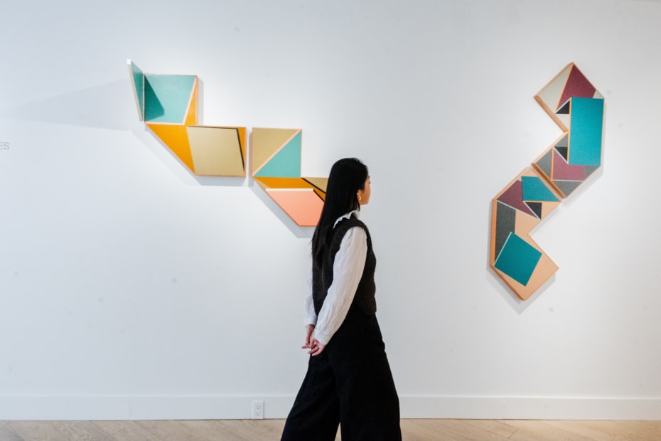 Ernesto García Sánchez and Roger Toledo: Incomplete Trajectories March 27–May 11, 2025 Thomas Nickles Project Installation view