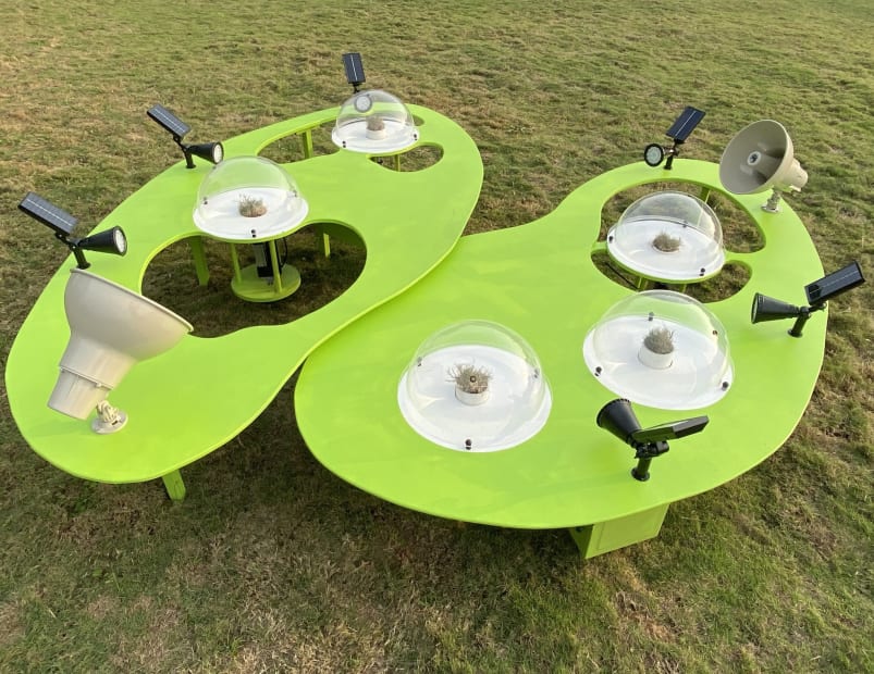 347438352 1288702692029187 8878476396370446416 N