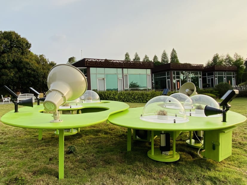 347600242 625535219209105 5189102389287759178 N