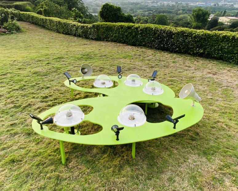 348606438 196732226606012 2856971700419672478 N