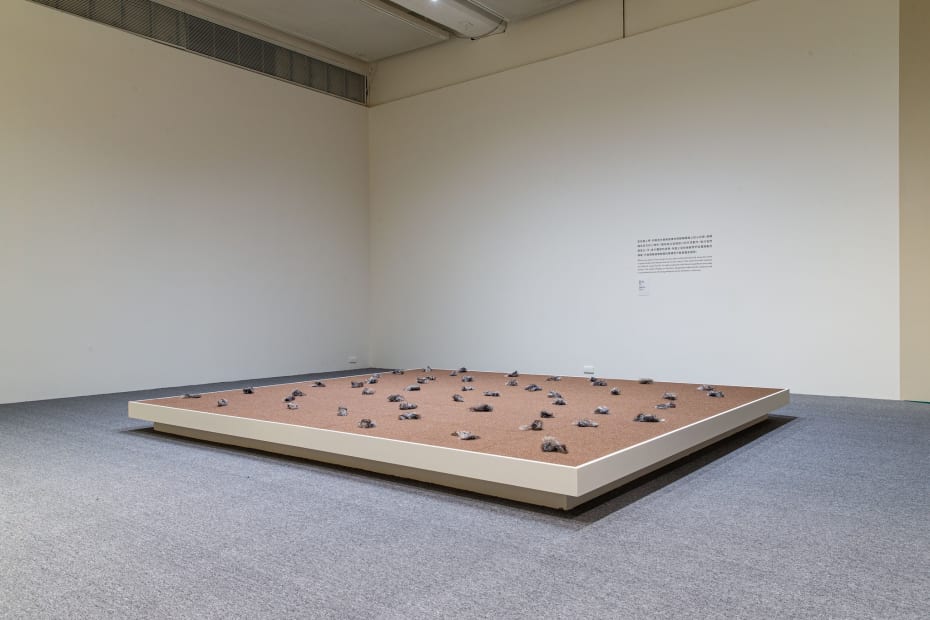 401592491 742519887903149 5083952093786851773 N