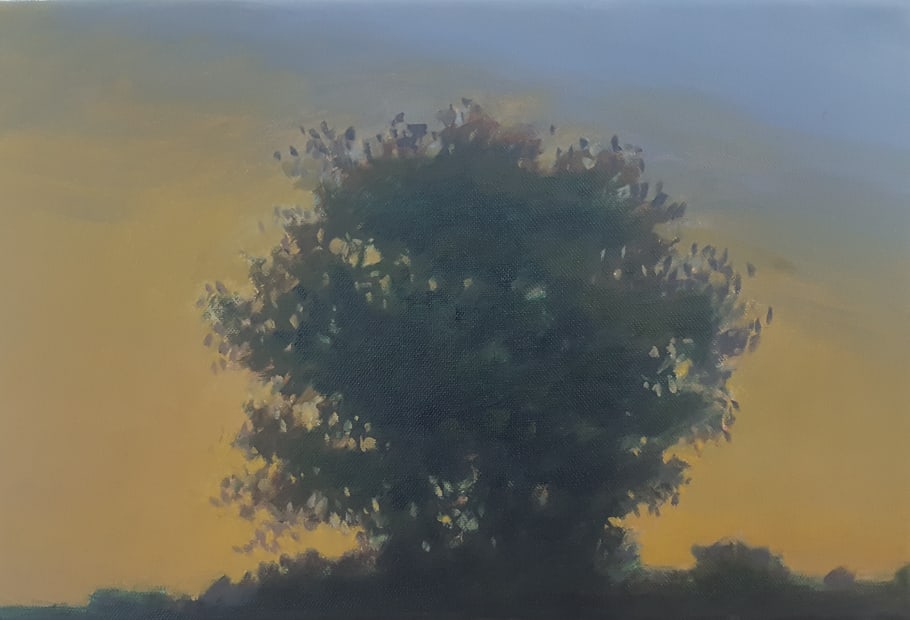 황용진, ML 17213, oil on canvas, 24x41cm, 2017