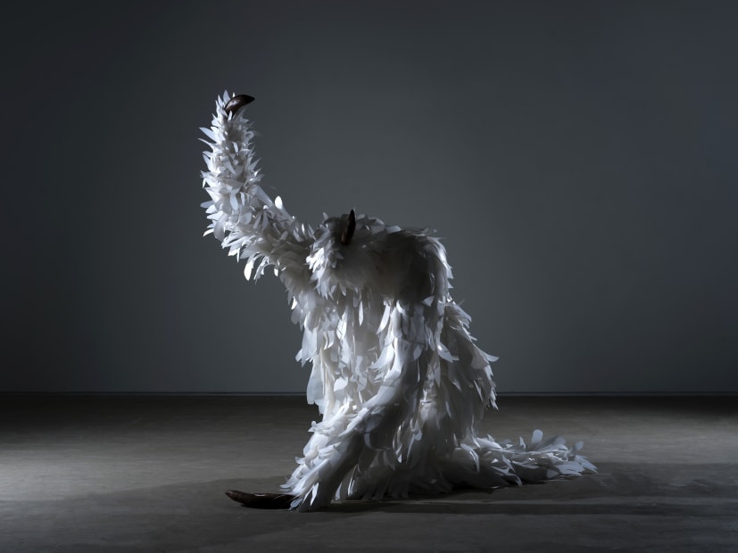 들킨자 The busted, mixed media, 가변크기 dimensions variable, 2025