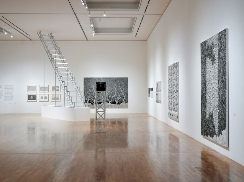 Installation view: Next Code 2023 - Diver, Sufer, World Builder, Daejeon Museum of Art, 2023