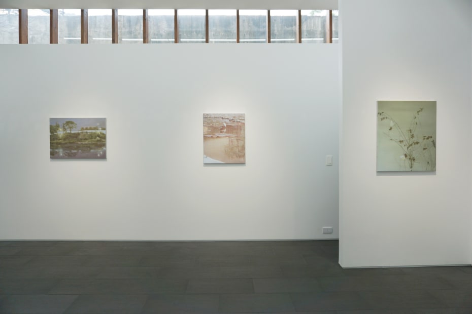 Installation view: The Name of the Painting, Nook Gallery, 2022