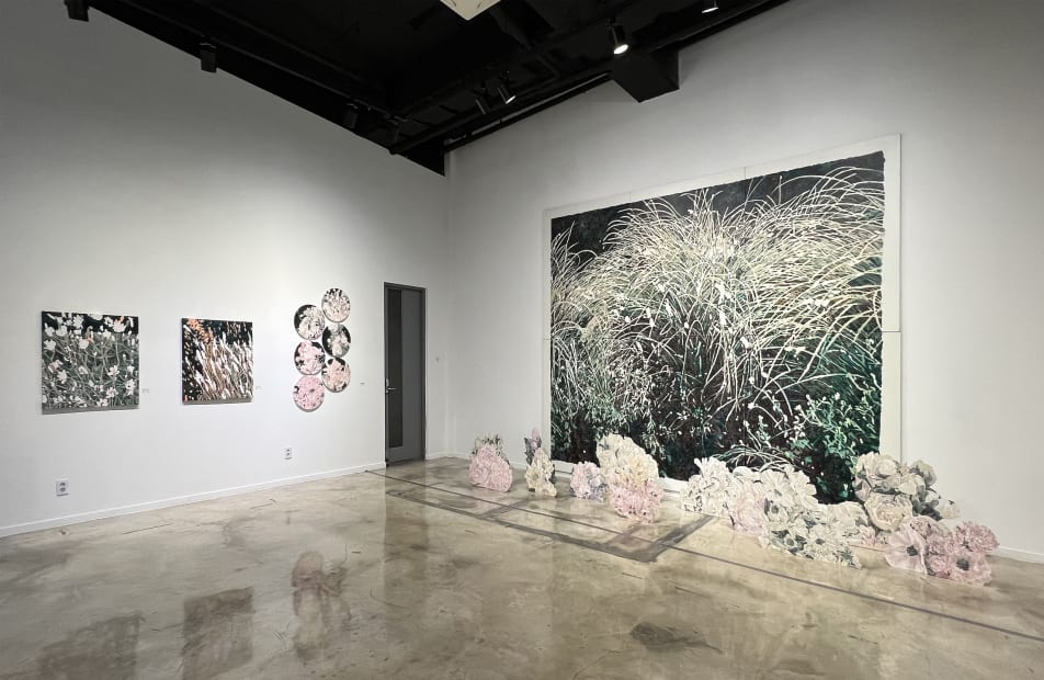 Installation view: Some Thoughts on the Common Toad, Gallery Saem, 2023