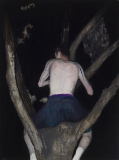 ALEXANDER TINEI, Tree, 2013