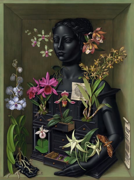 MADELINE VON FOERSTER, Orchid Cabinet, 2014