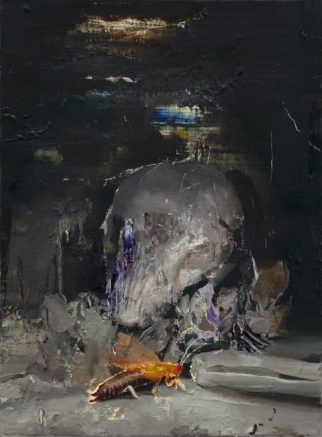 HAMID YARAGHCHI, Skull And Insect, 2022