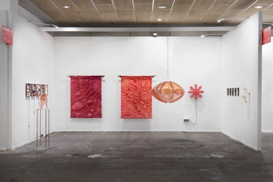 Arco Madrid 2024 Nasal 1