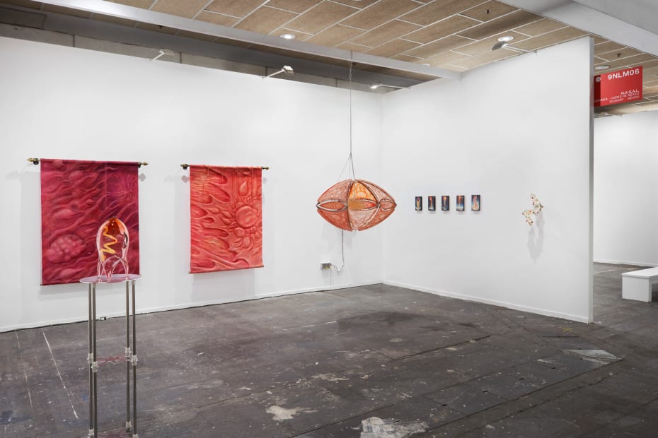 Arco Madrid 2024 Nasal 2