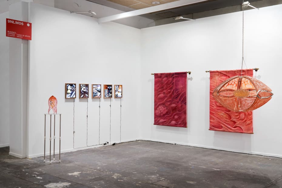 Arco Madrid 2024 Nasal 3