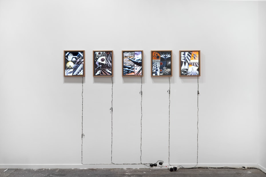 Arco Madrid 2024 Nasal 4