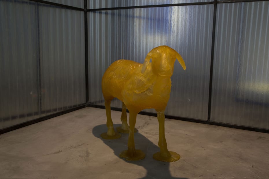 Neda Saeedi Sugared Tribe, 2017-2019