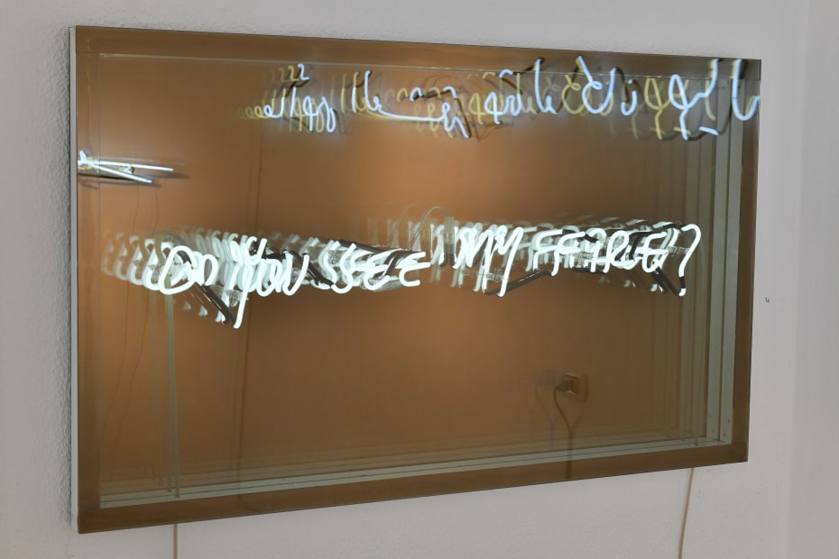 Do you see my fire, Lamba Neon, 2019 Neon mounted in a mirror box