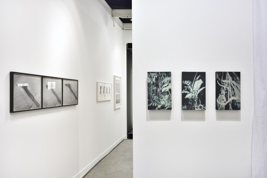 Photo © Rebecca Fanuele